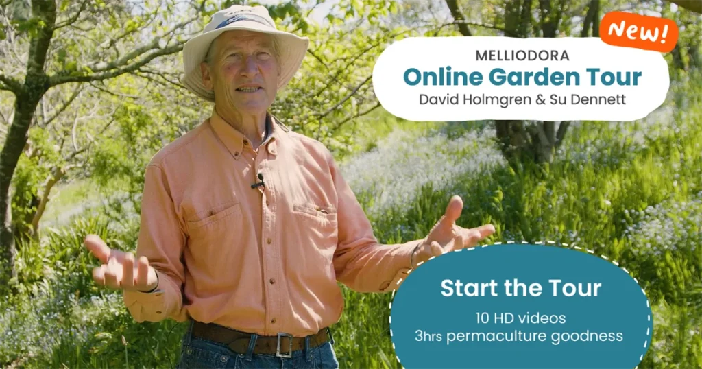 A smiling light skinned man, standing with hands outstretched as if explaining something. He is in an orchard, surrounded by trees and greenery.